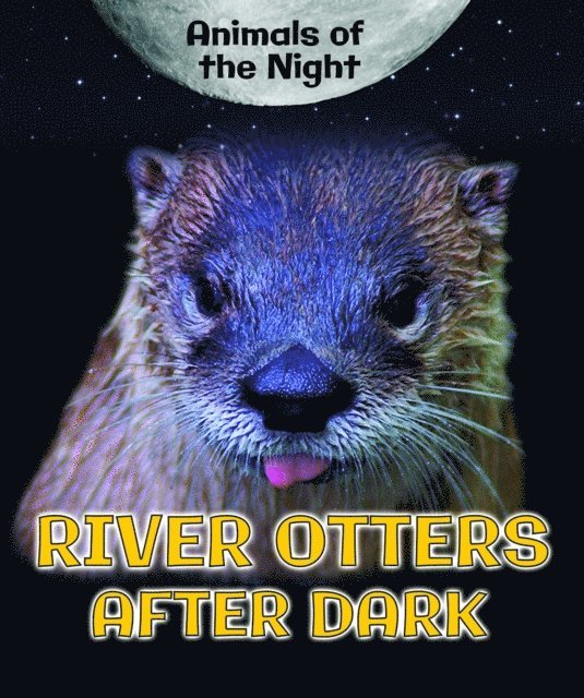 Heather Moore Niver - River Otters After Dark, E-bok