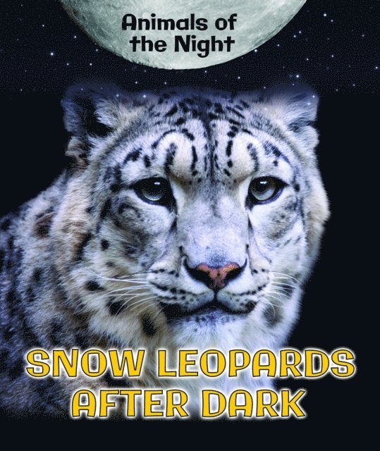 Heather Moore Niver - Snow Leopards After Dark, E-bok