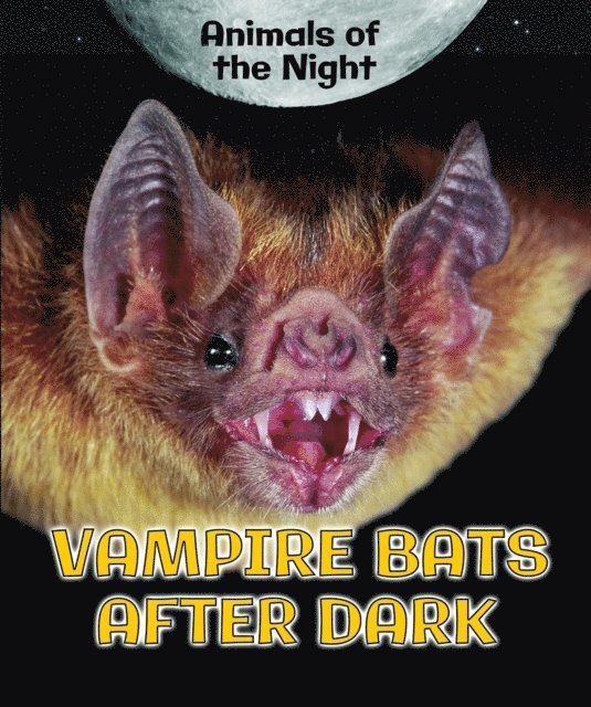 Heather Moore Niver - Vampire Bats After Dark, E-bok