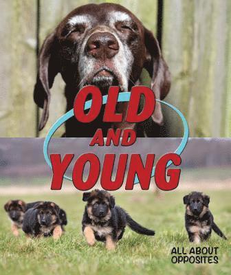 Tom Hughes - Old and Young, Inbunden