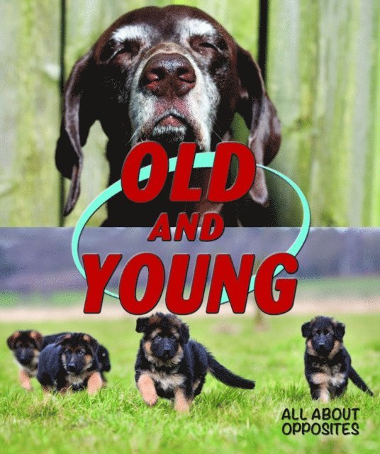 Tom Hughes - Old and Young, E-bok