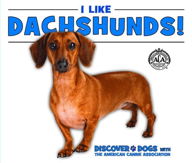 Linda Bozzo - I Like Dachshunds!, E-bok