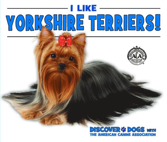 Linda Bozzo - I Like Yorkshire Terriers!, E-bok