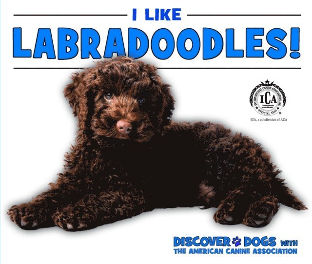 Linda Bozzo - I Like Labradoodles!, E-bok