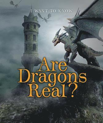 Portia Summers, Dana Meachen Rau - Are Dragons Real?, Häftad