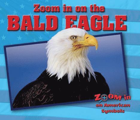 Heather Moore Niver - Zoom in on the Bald Eagle, Häftad