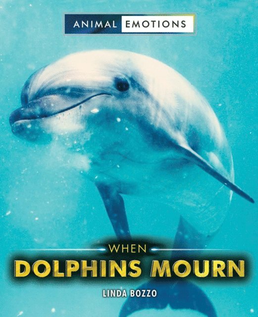 Linda Bozzo - When Dolphins Mourn, E-bok