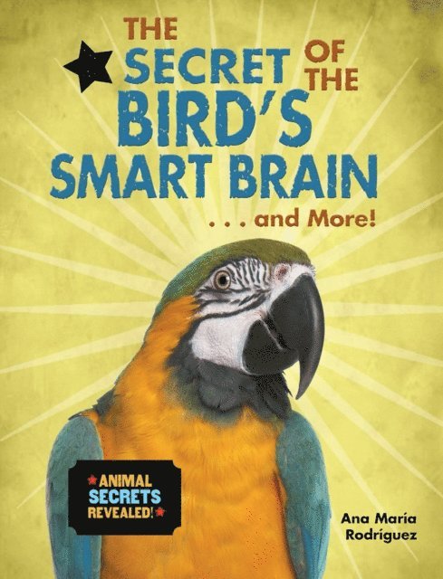 Ana Maria Rodriguez - Secret of the Bird's Smart Brain...and More!, E-bok. Tillgänglighet: Lägg i varukorg