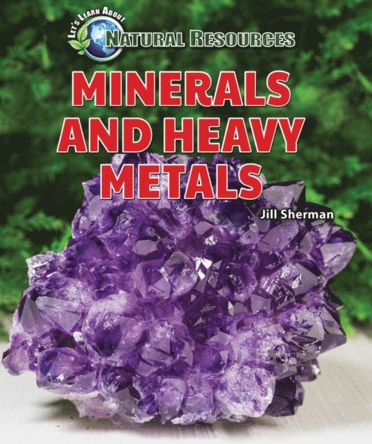 Jill Sherman - Minerals and Heavy Metals, E-bok