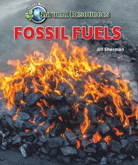 Jill Sherman - Fossil Fuels, E-bok
