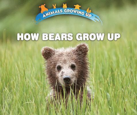 Heather Moore Niver - How Bears Grow Up, Inbunden