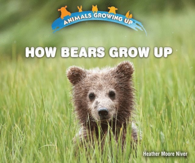 Heather Moore Niver - How Bears Grow Up, E-bok