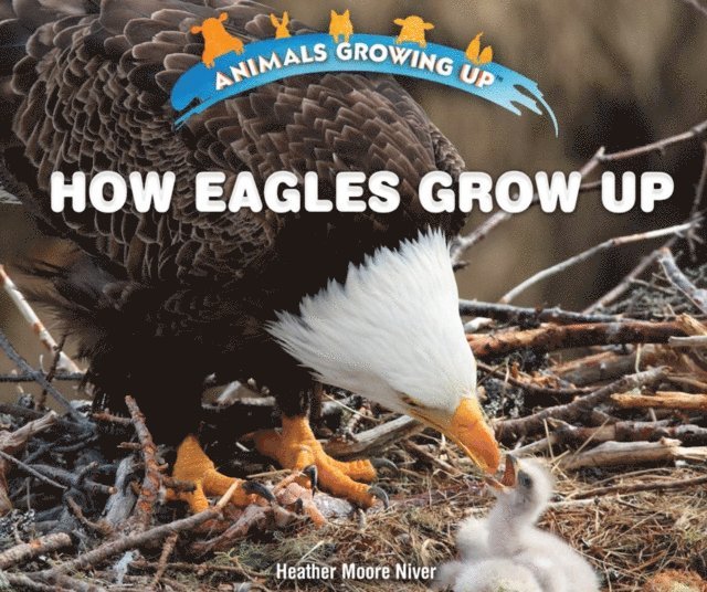 Heather Moore Niver - How Eagles Grow Up, E-bok