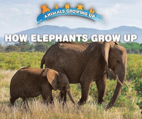 Heather Moore Niver - How Elephants Grow Up, Inbunden
