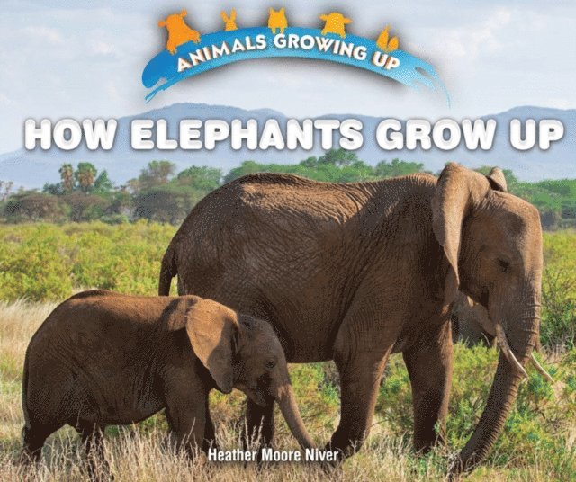 Heather Moore Niver - How Elephants Grow Up, E-bok