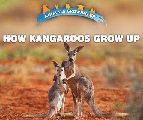 Heather Moore Niver - How Kangaroos Grow Up, Inbunden