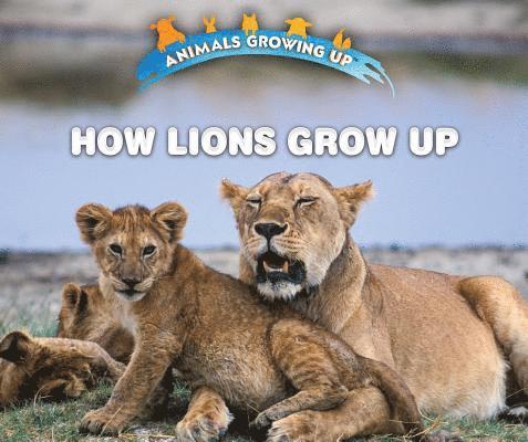 Lisa Idzikowski - How Lions Grow Up, Häftad
