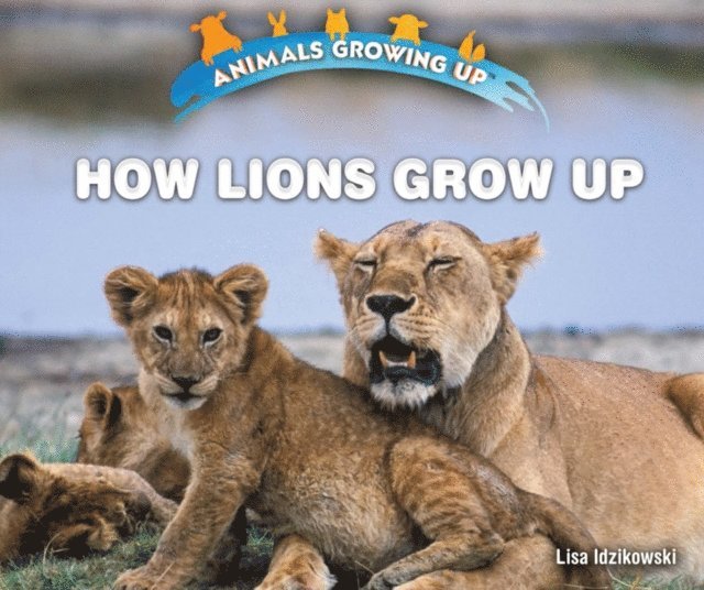 Lisa Idzikowski - How Lions Grow Up, E-bok