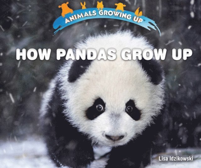 Lisa Idzikowski - How Pandas Grow Up, E-bok