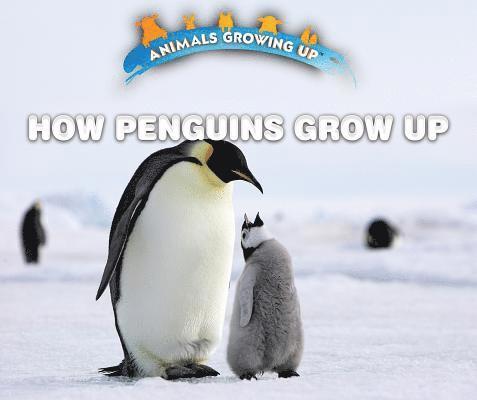 Lisa Idzikowski - How Penguins Grow Up, Häftad
