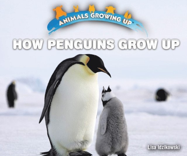 Lisa Idzikowski - How Penguins Grow Up, E-bok