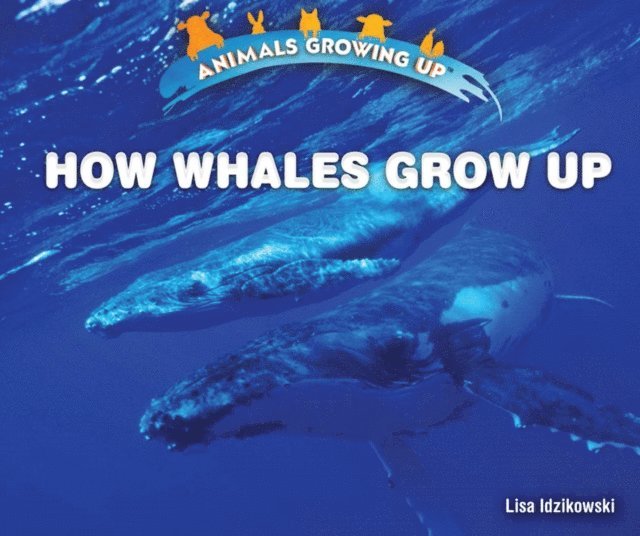 Lisa Idzikowski - How Whales Grow Up, E-bok