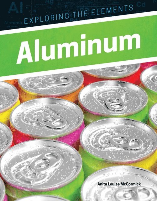Anita Louise McCormick - Aluminum, E-bok