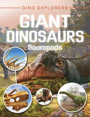 Clare Hibbert - Giant Dinosaurs: Sauropods, Häftad