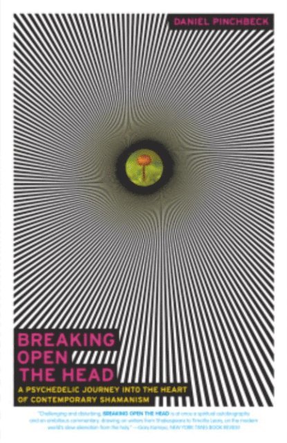 Daniel Pinchbeck - Breaking Open the Head, E-bok