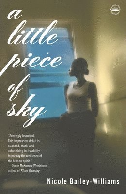 Nicole Bailey Williams - A Little Piece of Sky, Häftad