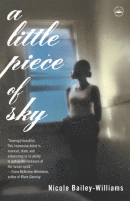 Nicole Bailey Williams - Little Piece of Sky, E-bok