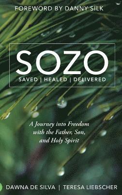 SOZO Saved Healed Delivered av Dawna de Silva, Teresa Liebscher