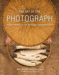 The Art of the Photograph: Essential Habits for Stronger Compostitions