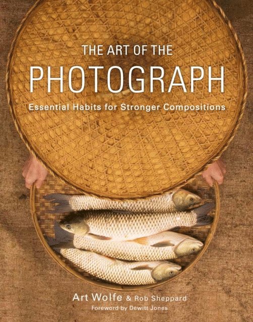 Dewitt Jones, Rob Sheppard - Art of the Photograph, E-bok