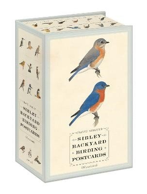 Sibley Backyard Birding Postcards av David Sibley, David Allen Sibley