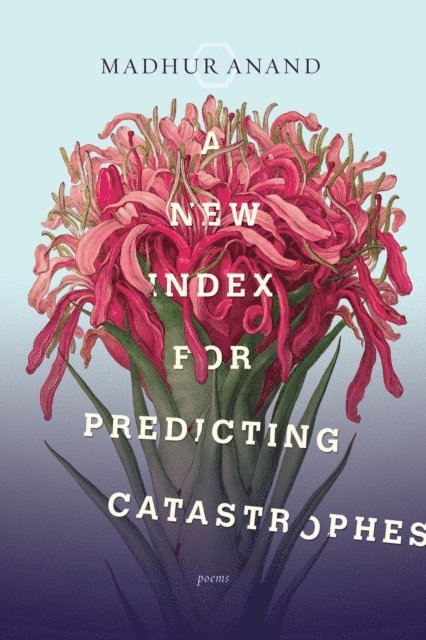Madhur Anand - New Index for Predicting Catastrophes, E-bok. Tillgänglighet: Lägg i varukorg