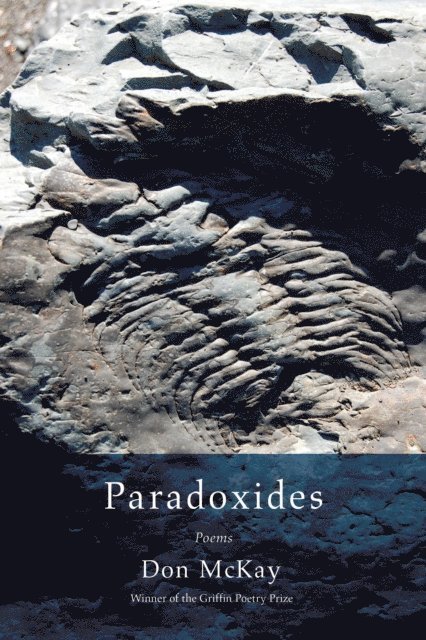 Don McKay - Paradoxides, E-bok