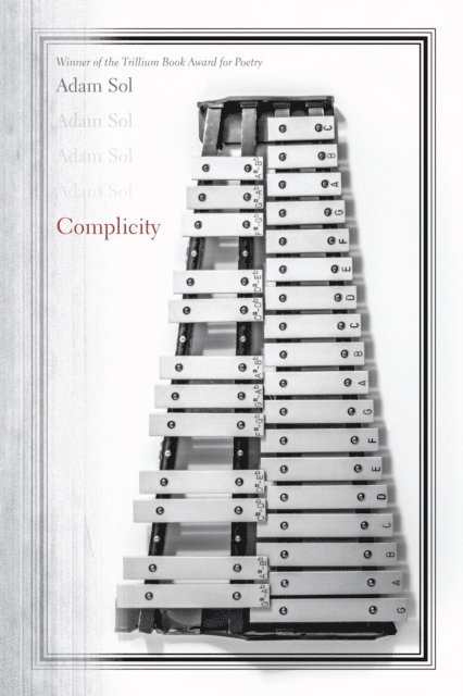 Adam Sol - Complicity, E-bok