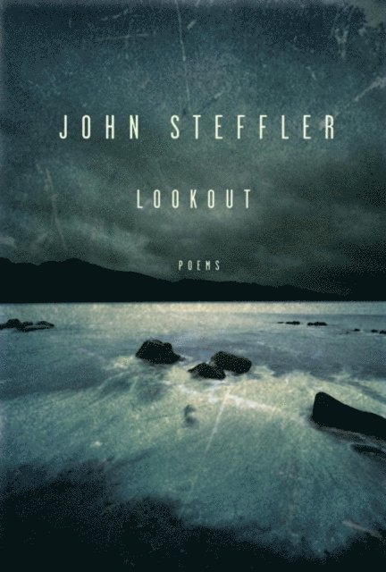 John Steffler - Lookout, E-bok