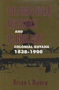 Cultural Power, Resistance, and Pluralism: Volume 22