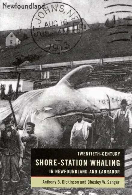 Anthony Dickinson, Chesley Sanger - Twentieth-Century Shore-Station Whaling in Newfoundland and Labrador, Inbunden. Tillgänglighet: Tillfälligt slut