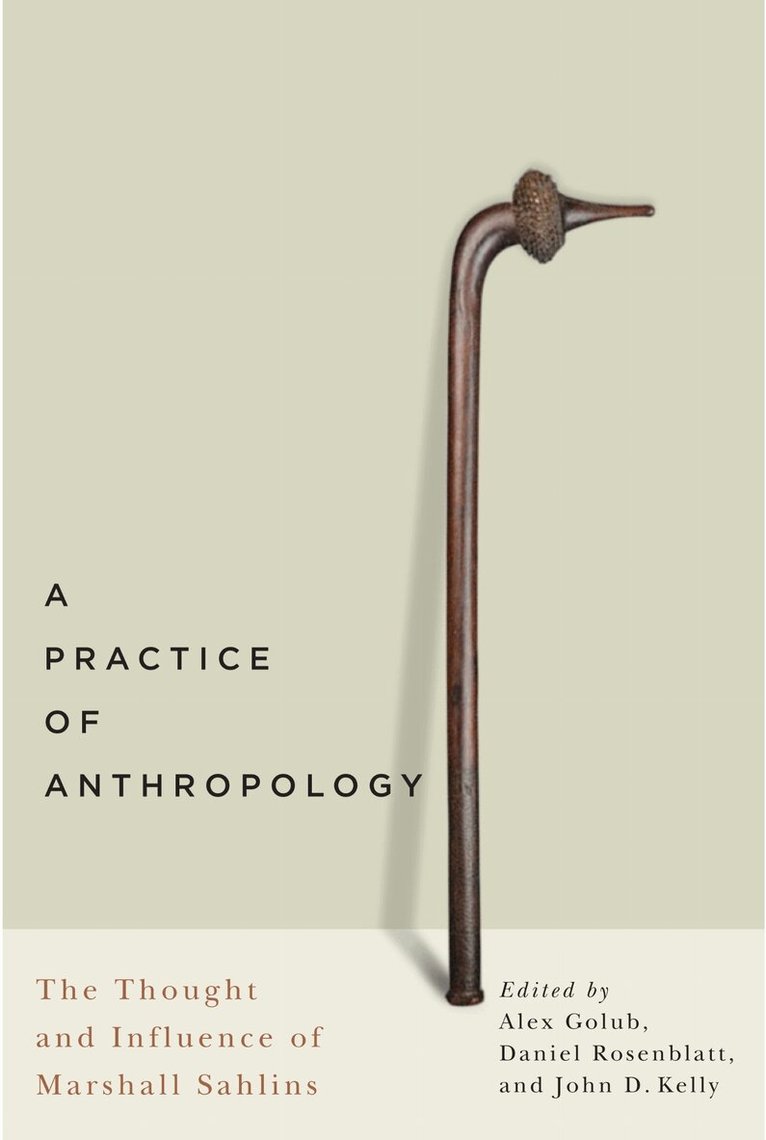 Alex Golub, Daniel Rosenblatt, John D. Kelly - Practice of Anthropology, Häftad