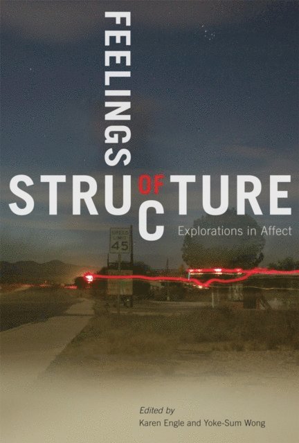 Yoke-Sum Wong, Karen Engle - Feelings of Structure, E-bok