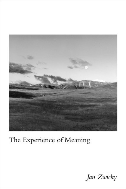 Jan Zwicky - Experience of Meaning, E-bok