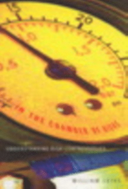 William Leiss - In the Chamber of Risks, E-bok