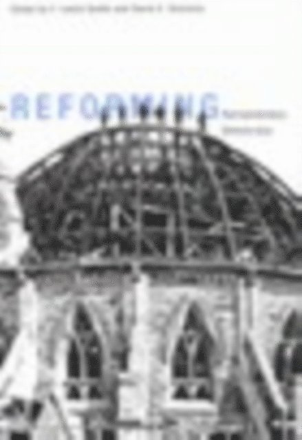 David C. Docherty, Leslie Seidle - Reforming Parliamentary Democracy, E-bok. Tillgänglighet: Lägg i varukorg