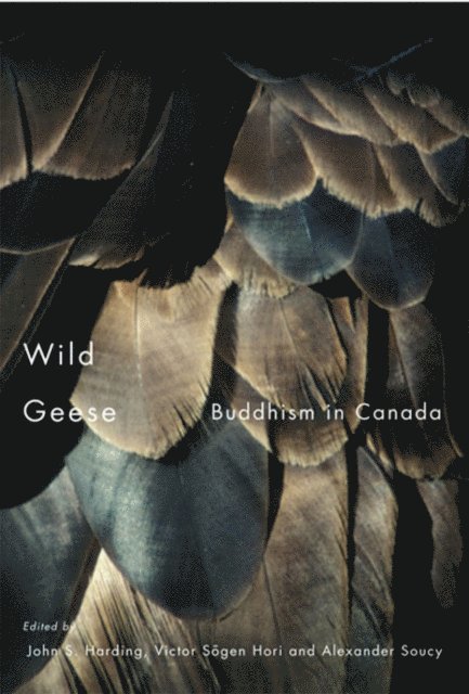 Alexander Soucy, John S. Harding - Wild Geese, E-bok