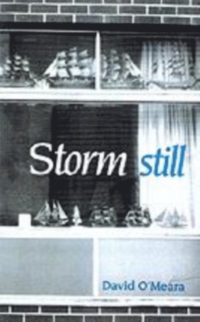 David O'Meara - Storm Still, E-bok