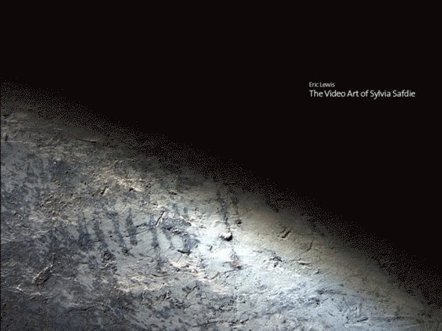 Eric Lewis - Video Art of Sylvia Safdie, E-bok