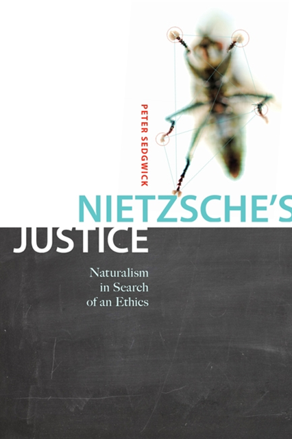 Peter R. Sedgwick - Nietzsche's Justice, E-bok